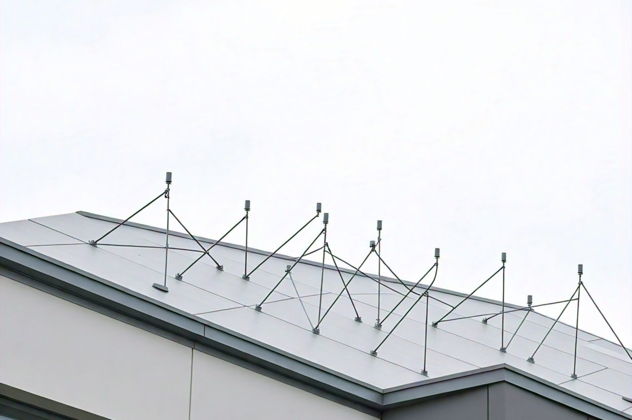 WhatsApp Image 2024-10-31 at 21.18.40