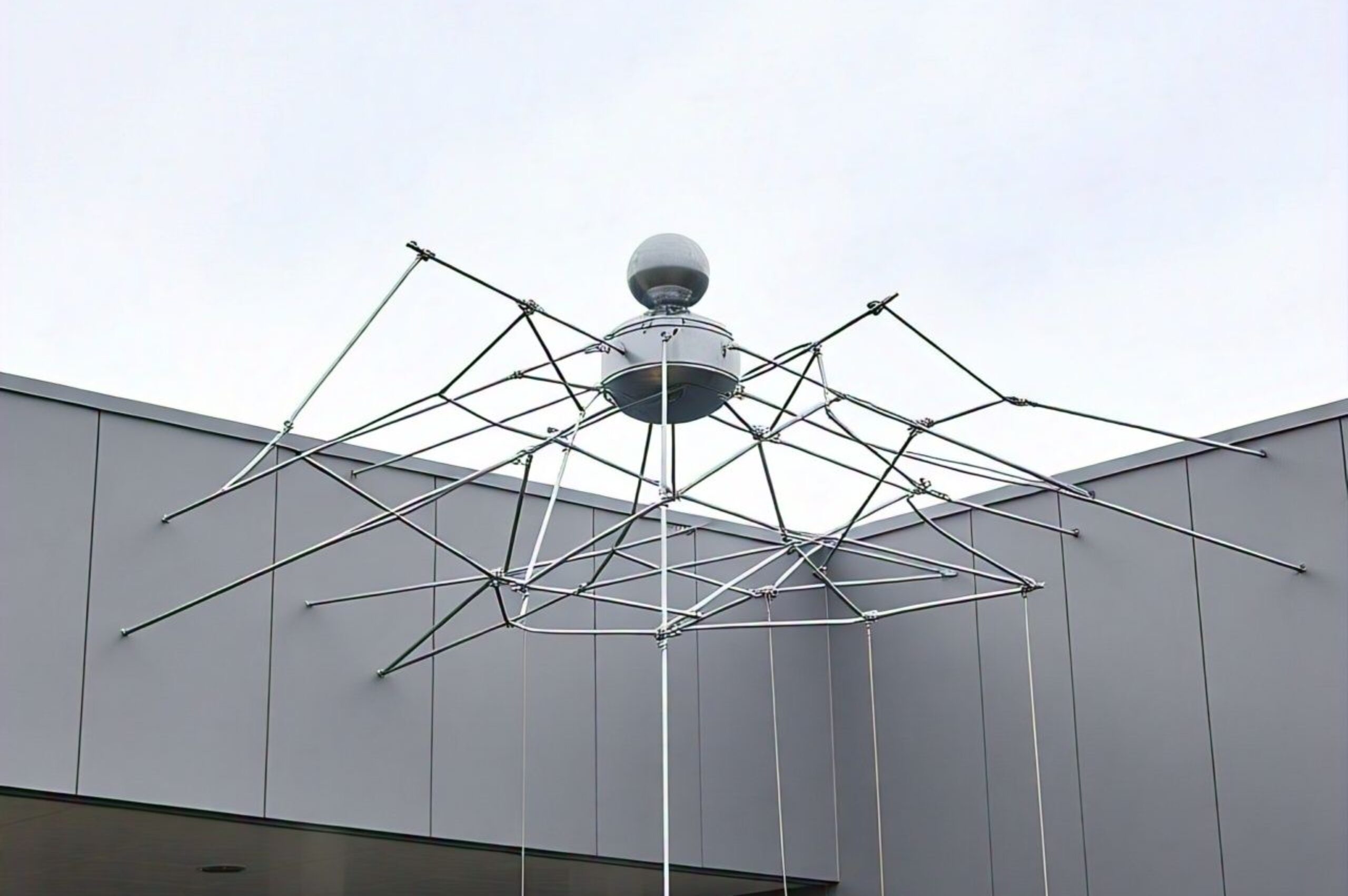 WhatsApp Image 2024-10-31 at 21.19.01